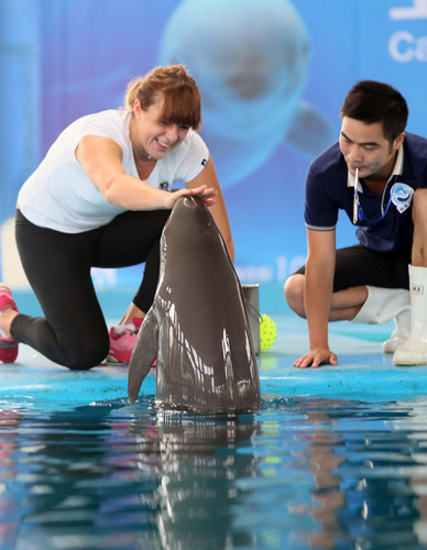 足坛津津乐 足坛津津乐