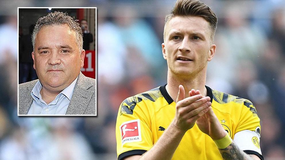 仰泳以及混 仰泳以及混