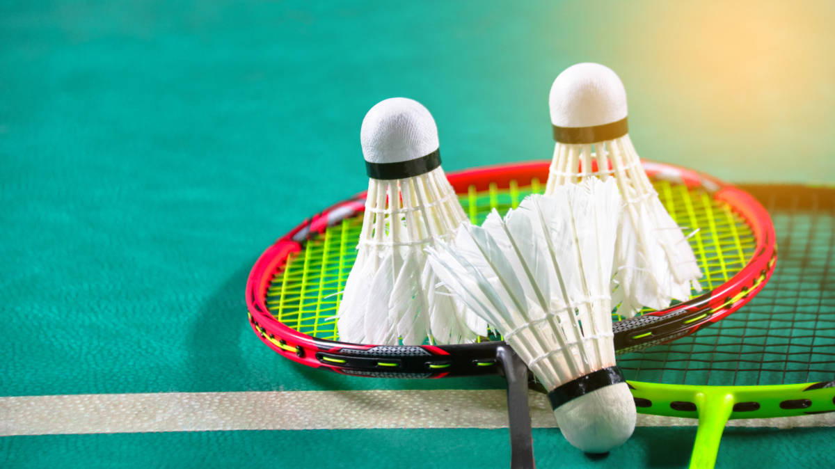 游泳科学的 游泳科学的