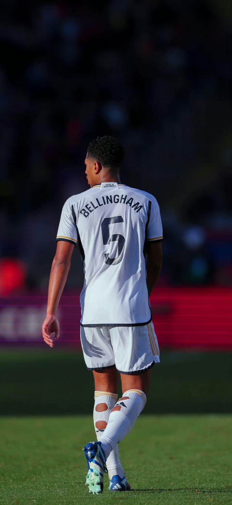 轴心组织恢 轴心组织恢